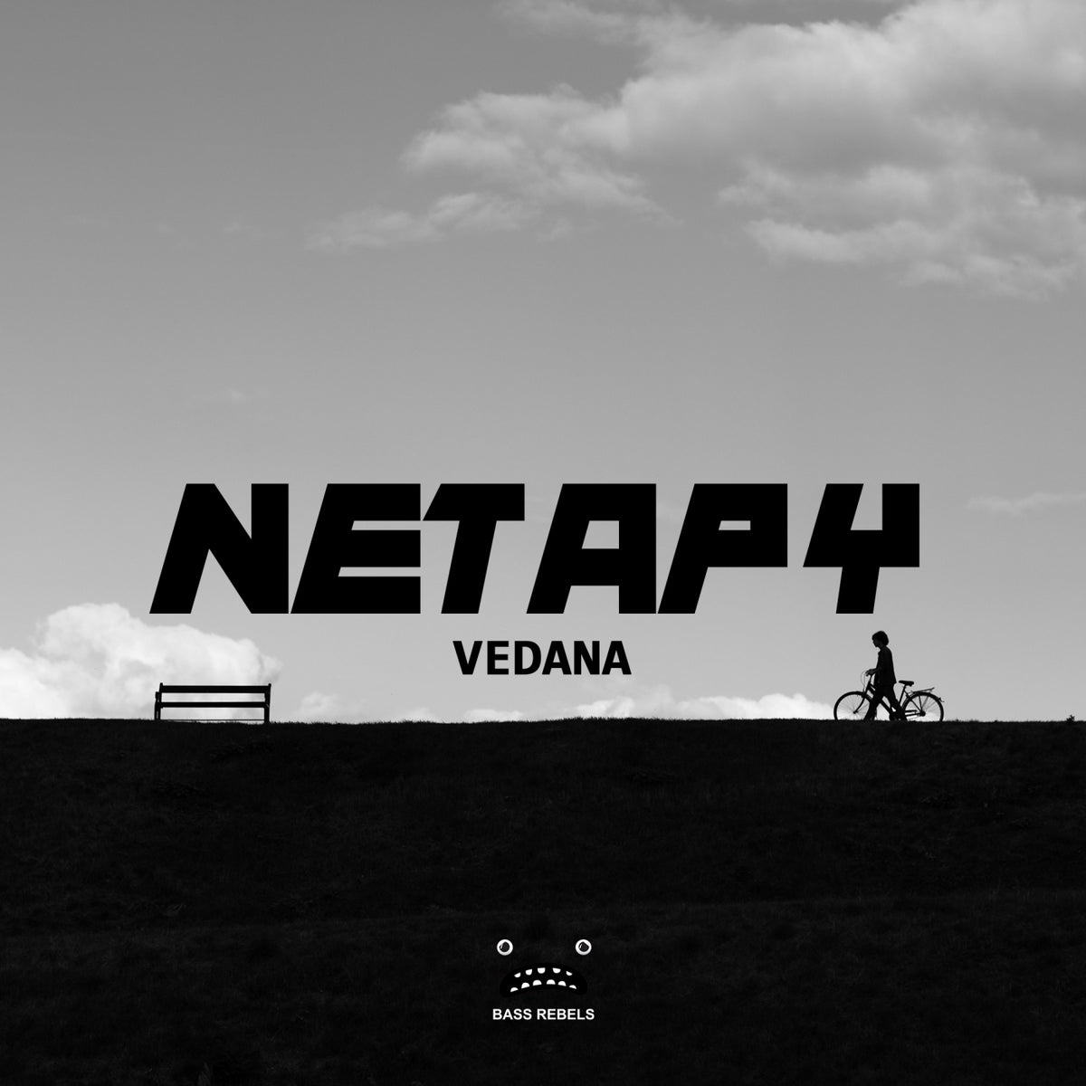 Netapy - Vedana cover artwork