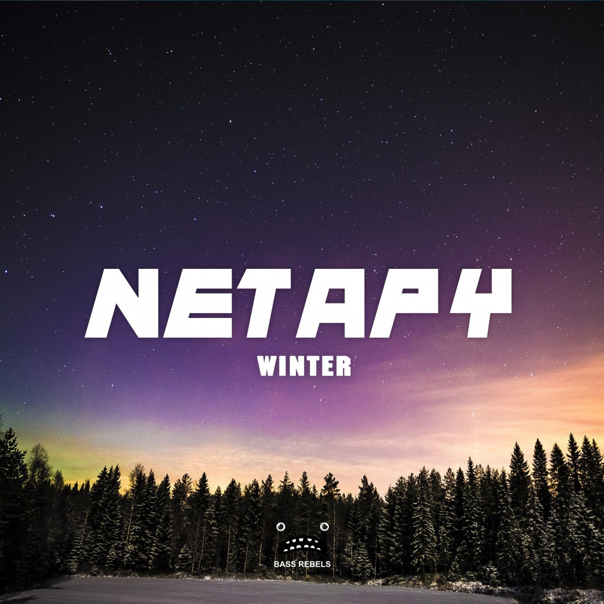 Netapy - Winter cover artwork