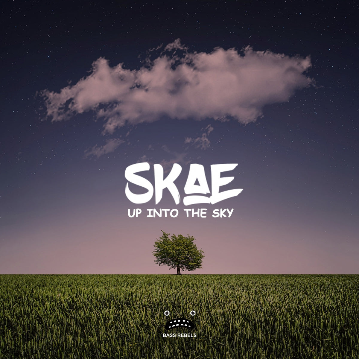 Skae - Up Into The Sky cover artwork