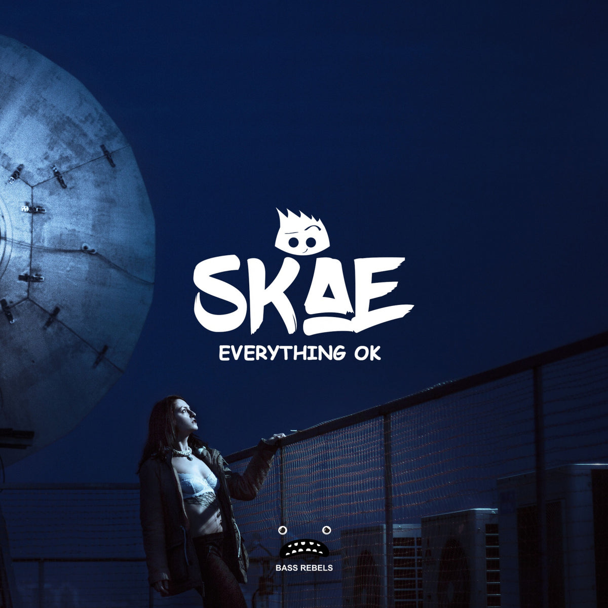 Skae - Everything Ok cover artwork