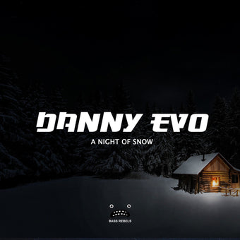 A Night Of Snow