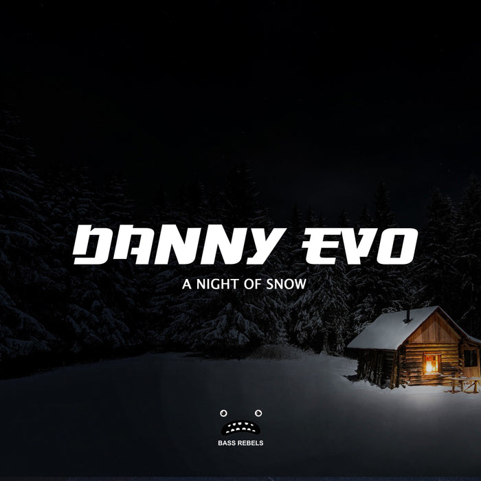 A Night Of Snow