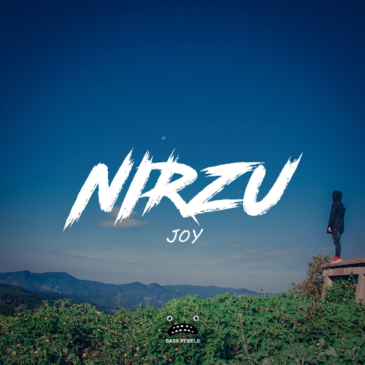 Nirzu - Joy cover artwork