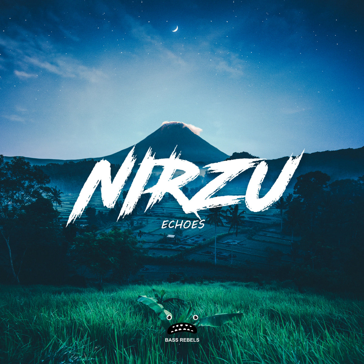 Nirzu - Echoes cover artwork